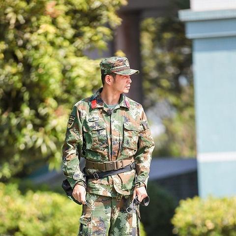 (乐高城堡 士兵)探秘城堡奇兵：乐高积木打造的神奇世界，细节精致惟妙惟肖
