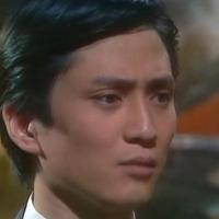 (中国古代五虎将有哪些人?)详解古代五虎将级别分析，了解五虎将级别在历史上的崭露头角