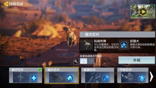 (狩猎使命手游宠物排名)狩猎使命中龙骑最佳宠物选择解析:带哪两个宠物效果最佳? (狩猎使命手游宠物排名)狩猎使命中龙骑最佳宠物选择解析:带哪两个宠物效果最佳?