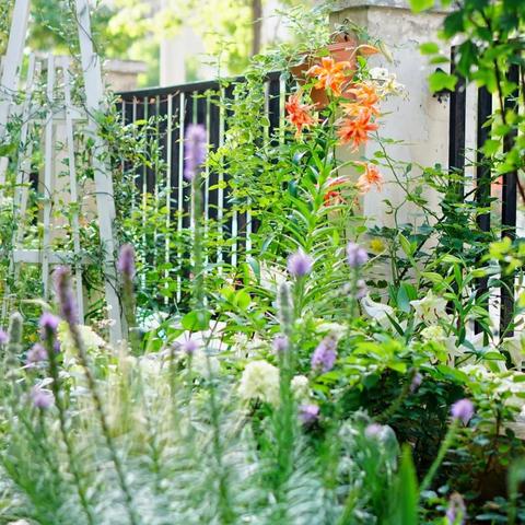 (爱丽丝仙境逃亡游戏)逃离仙境的爱丽丝游戏:探索梦幻世界中隐藏的秘密与挑战 (爱丽丝仙境逃亡游戏)逃离仙境的爱丽丝游戏:探索梦幻世界中隐藏的秘密与挑战