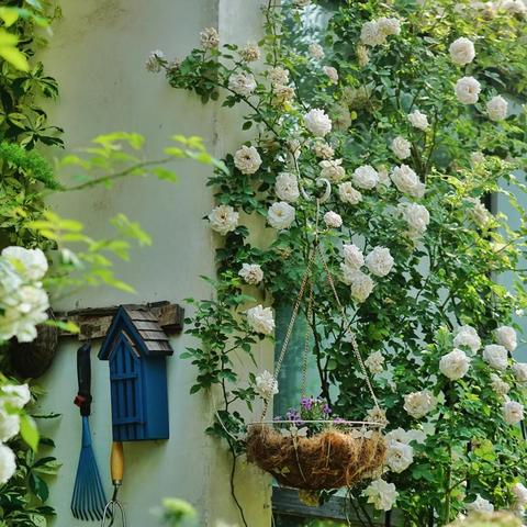 (爱丽丝仙境逃亡游戏)逃离仙境的爱丽丝游戏:探索梦幻世界中隐藏的秘密与挑战 (爱丽丝仙境逃亡游戏)逃离仙境的爱丽丝游戏:探索梦幻世界中隐藏的秘密与挑战