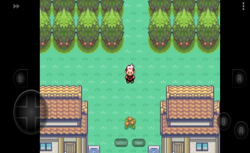 口袋妖怪红宝石攻略图:详细攻略,全图解,帮你轻松捕捉每一只精灵! 口袋妖怪红宝石攻略图:详细攻略,全图解,帮你轻松捕捉每一只精灵!