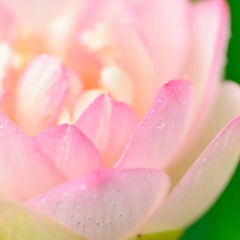 探索疯狂3+2：五彩缤纷的新世界，背后隐藏着无穷可能