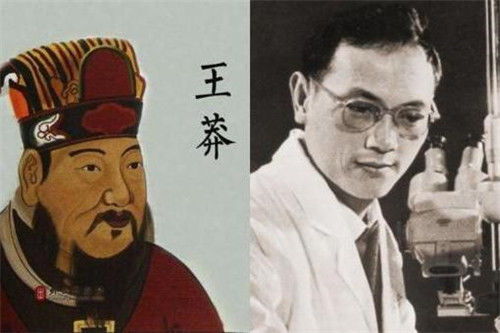 (弥留之国在哪里)探讨弥留之岛消失背后的历史原因及其对生态环境的影响 (弥留之国在哪里)探讨弥留之岛消失背后的历史原因及其对生态环境的影响