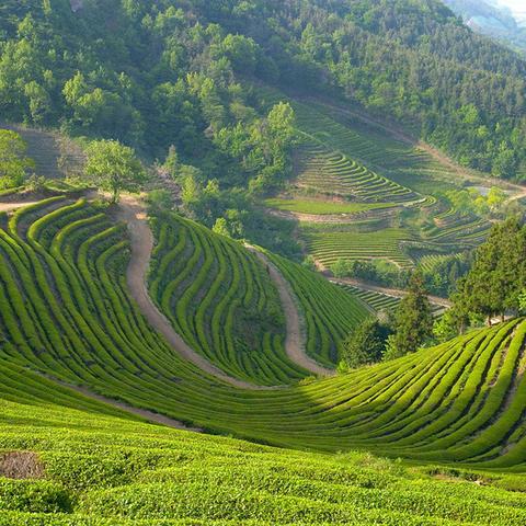 (电脑桌面壁纸 唯美 风景)令人陶醉的电脑桌面壁纸风景,唯美大片让你感受大自然的魅力 (电脑桌面壁纸 唯美 风景)令人陶醉的电脑桌面壁纸风景,唯美大片让你感受大自然的魅力