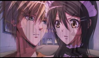 (初恋是学生会长的三个结局)初恋的甜蜜:学生会长与我携手走向幸福结局的青春故事 (初恋是学生会长的三个结局)初恋的甜蜜:学生会长与我携手走向幸福结局的青春故事