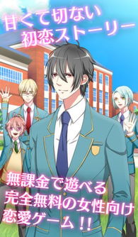 (初恋是学生会长的三个结局)初恋的甜蜜:学生会长与我携手走向幸福结局的青春故事 (初恋是学生会长的三个结局)初恋的甜蜜:学生会长与我携手走向幸福结局的青春故事