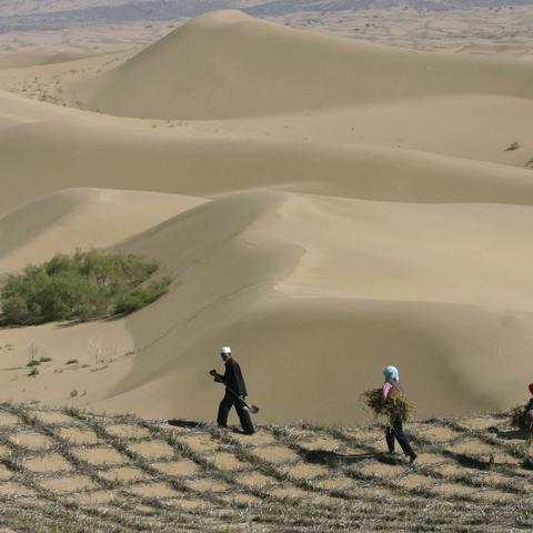 山有扶苏2019攻略：探索山水灵秀，畅游自然梦境，尽情感受大自然的魅力