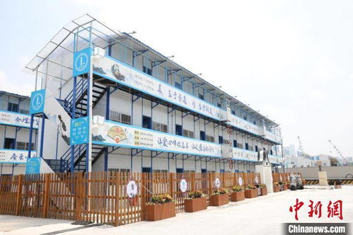 (战鼓之歌)揭秘战鼓之翼:这个项目到底骗了多少人? (战鼓之歌)揭秘战鼓之翼:这个项目到底骗了多少人?