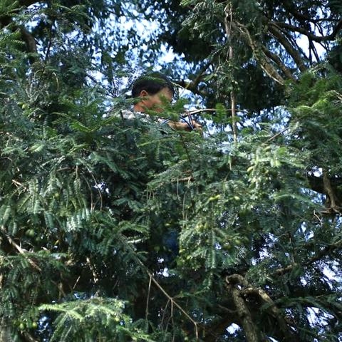 (高铁护栏怎么做的)如何在六月衷曲中运用绳子的技巧与创意，提升你的艺术表现力