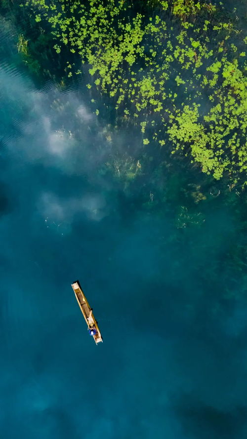 (晚安森林晚安湖泊出自那本书)睡前必备：晚安森林最新版本更新，带来更多精彩惊喜与改进！