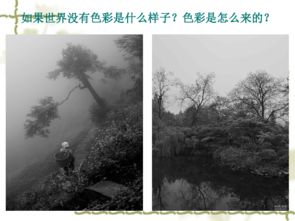 春夏·露谢拉：探寻自然之美，感受季节交替的魅力与变化