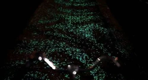 矣然心动，繁星闪耀，爱意浓浓，如梦如幻，心动不已