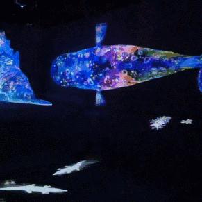 通过AI技术打造梦幻明星MV,让你进入数字时代的视听盛宴 通过AI技术打造梦幻明星MV,让你进入数字时代的视听盛宴