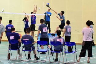 (长沙打球)长沙举办三大球运动会发布会，吸引全球目光并引发热议